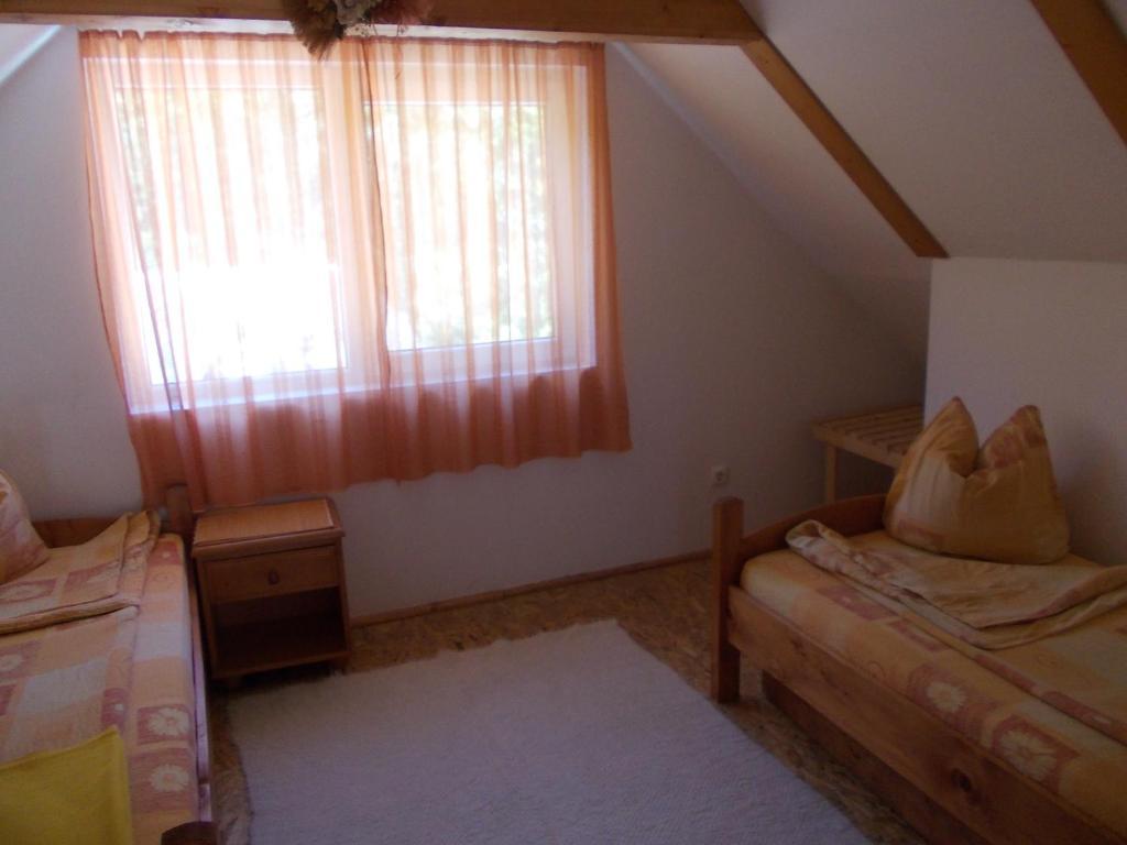 Pensiunea Adina Cavnic Habitación foto